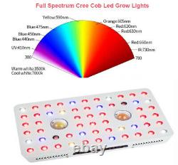Cree Cob 1000w Led Grow Light Full Spectrum Avec Veg / Bloom Commutateur Pour Effet De Serre