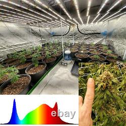 Dimmable Led Grow Light 640w 8bars Pour La Couverture De Fleurs De Légumes De Plantes À L'intérieur 5' X 5