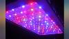 Exlenvce 1500w 1200w Led Grow Light Full Spectrum For Indoor Plants Veg And Review