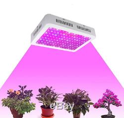 King Grow Light Full Spectrum Hydroponique 1200w Led Veg Usine De Fleur Lampe D'intérieur