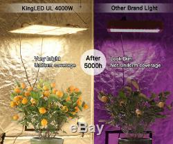 Kingplus 4000w Led Grow Light Samsung Lm301b Intérieur Toutes Les Étapes Veg Flower