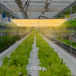 Lampe de croissance à LED 800W Full Spectrum Dimmable pour plantes d'intérieur Veg Flower USA