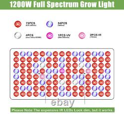 Lampe de culture LED 1200W Spectre complet pour plantes d'intérieur Serre Veg Fleur