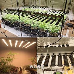 Lampe de culture LED 320W à spectre complet pour plantes d'intérieur Veg Flower Hydroponique