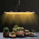 Lampe De Culture à Led à Spectre Complet De 1200w Pour Plantes D'intérieur - Veg Bloom - Ip65