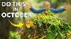 Liste De Contrôle Du Jardin : 10 Tâches à Effectuer En Octobre