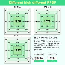 Lumière de croissance LED 1000W 6x6ft 3465pcs Diodes Barre de croissance Spectre complet pour VEG intérieur