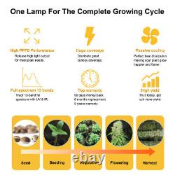 Lumière de croissance LED Phlizon Commerial 6500W Full Spectrum pour plantes d'intérieur Veg flower