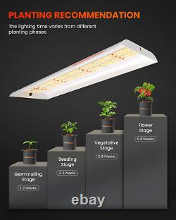 Lumière de croissance LED Spider Farmer SF300 à spectre complet pour plantes hydroponiques d'intérieur en phase végétative.