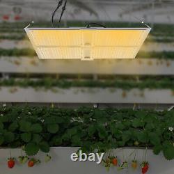 Lumière de croissance LED à spectre complet pour plantes d'intérieur Veg Bloom 450W Lampe de plantation IP65