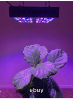 Lumière de croissance à LED VIPARSPECTRA 600W Spectre complet pour plantes d'intérieur Veg Flower V600