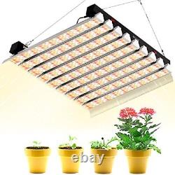 Lumière de croissance à LED de 4000w 4-4ft Couverture Double Commutateur Spectre Complet Pour Plantes d'Intérieur