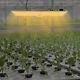 Lumière De Croissance à Led Intérieure 23,62 Pouces Pour Plantes Hydroponiques Veg Flower Growing Panel 220w