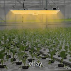 Lumière de croissance à LED intérieure 23,62 pouces pour plantes hydroponiques Veg Flower Growing Panel 220w