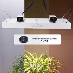 Lumière de croissance à spectre complet de 4000W pour les plantes d'intérieur en phase végétative et floraison avec double interrupteur.