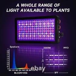Lumière de croissance des plantes à LED dimmable 2000W pour plantes d'intérieur Spectre complet de démarrage des graines