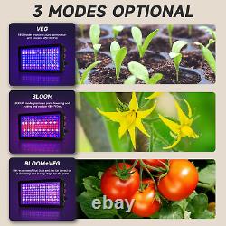 Lumière de croissance des plantes à LED dimmable 2000W pour plantes d'intérieur Spectre complet de démarrage des graines