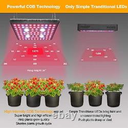 Lumière de croissance pour plantes à spectre complet COB 2000 Watt LED avec COB 2000W