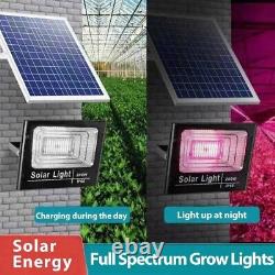 Lumière de culture Full Spectrum Led Grow Light alimentée par l'énergie solaire pour les plantes d'intérieur Kit de tente Veg & Bloom