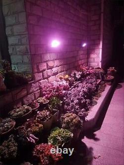Lumière de culture Full Spectrum Led Grow Light alimentée par l'énergie solaire pour les plantes d'intérieur Kit de tente Veg & Bloom