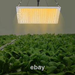 Lumière de culture LED pour plantes d'intérieur 220W LM301B Veg Bloom à spectre complet avec gradation