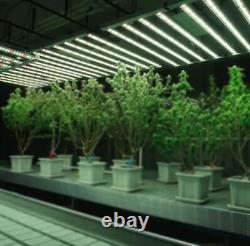 Lumière de culture à LED Phlizon FD4500 Full Spectrum Lights pour plantes commerciales d'intérieur 5x5ft