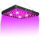 Lumière De Culture Pour Plantes à Spectre Complet Cob 2000 Watt Led Grow Light Avec Cob 2000w