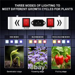 Lumières de croissance à spectre complet LED de 2000W pour plantes d'intérieur Hydroponique Veg Bloom