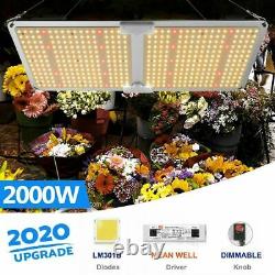 Sf 2000w Led Grow Light Daisy Veg Flower Samsung Lm301b Sunlike Spectre Complet