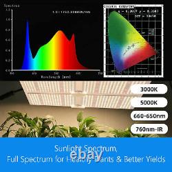 Sf 2000w Led Grow Light Daisy Veg Flower Samsung Lm301b Sunlike Spectre Complet