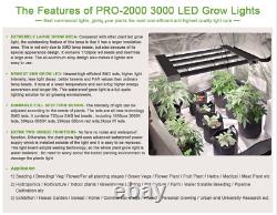 Spider 640w Full Spectrum Grow Light Bar Avec Samsungled Indoor Commercial Flower