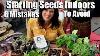 Starting Seeds Indoor For Your Spring Garden 6 Erreurs Pour Éviter Spring Garden Series 1