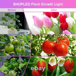 T8 Led Grow Lights 4ft Led Tube Light Full Spectrum Pour Les Fleurs De Plantes Intérieures Veg