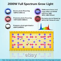 Tmlapy 2000w Led Grandissent La Lumière Avec Uv Plein Spectre Hydroponiques Pour Les Plantes À L'intérieur