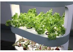 Tour de jardinage intelligente hydroponique de légumes avec kit de croissance à 4 niveaux et lumière de croissance blanche