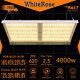 Whiterose 4000w Led Grow Light Full Spectrum Pour L'intérieur Veg Uv Ir Fleur Booster